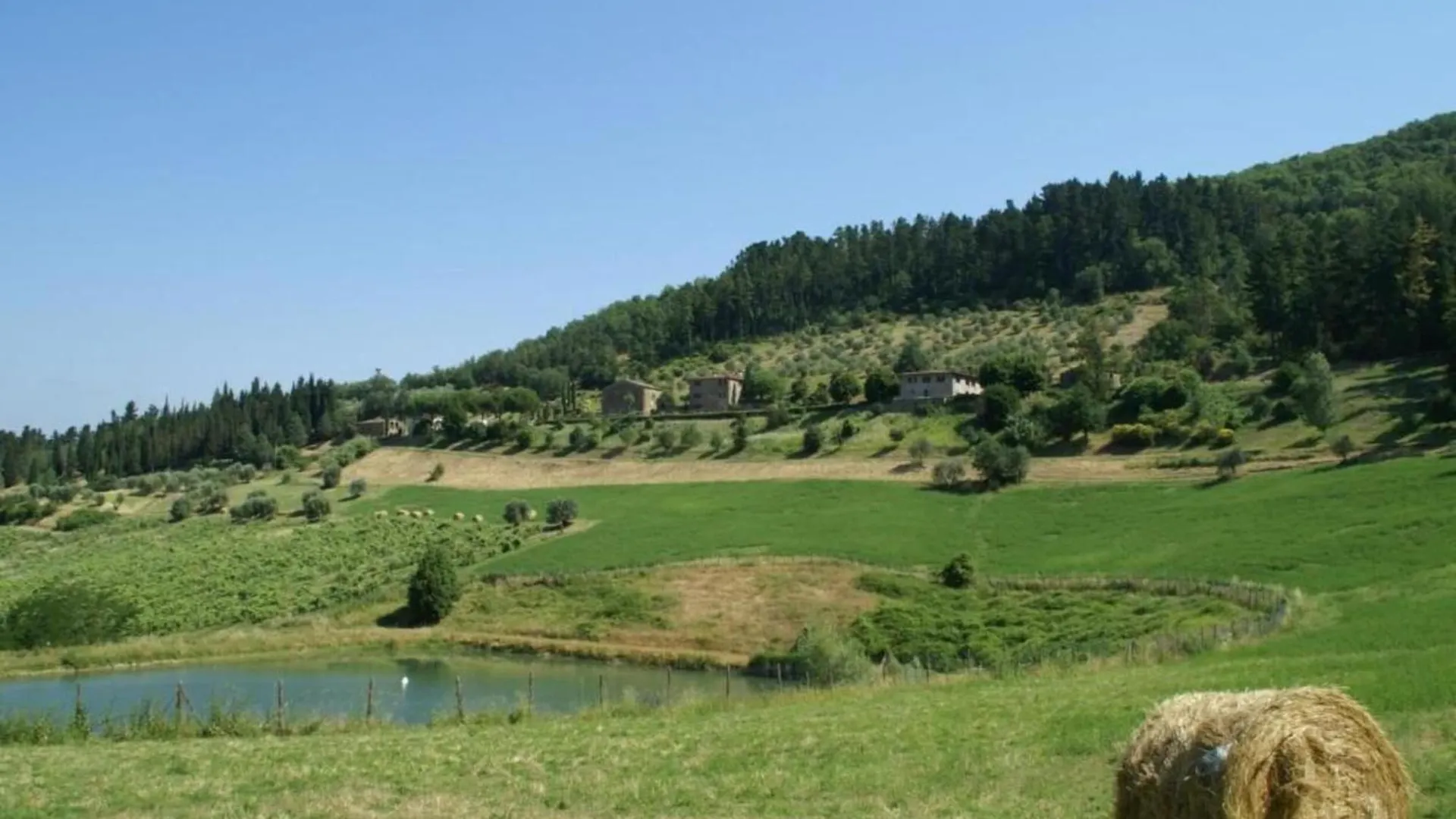 Lovely Estate Not Far From Florence With Olives Trees Poggio Alla Croce 0*,