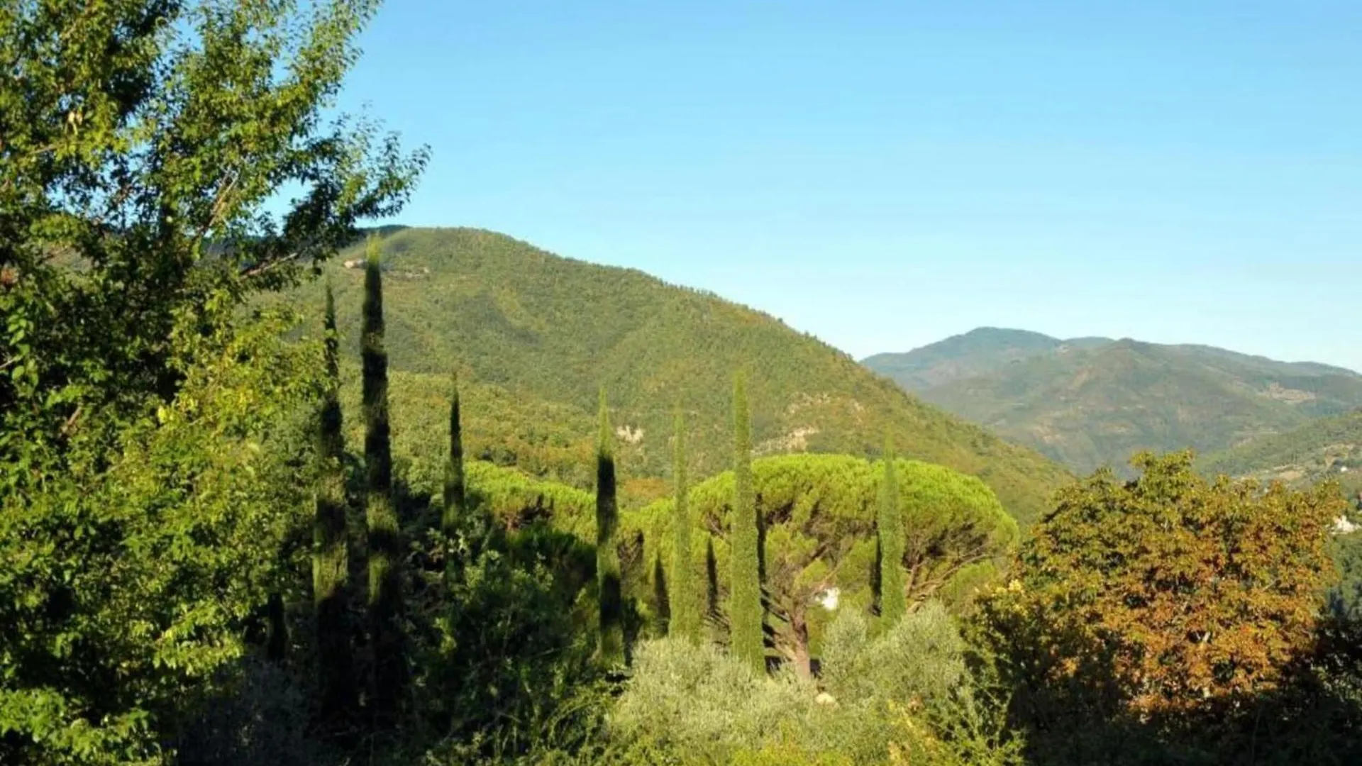 Lovely Estate Not Far From Florence With Olives Trees Poggio Alla Croce Italien