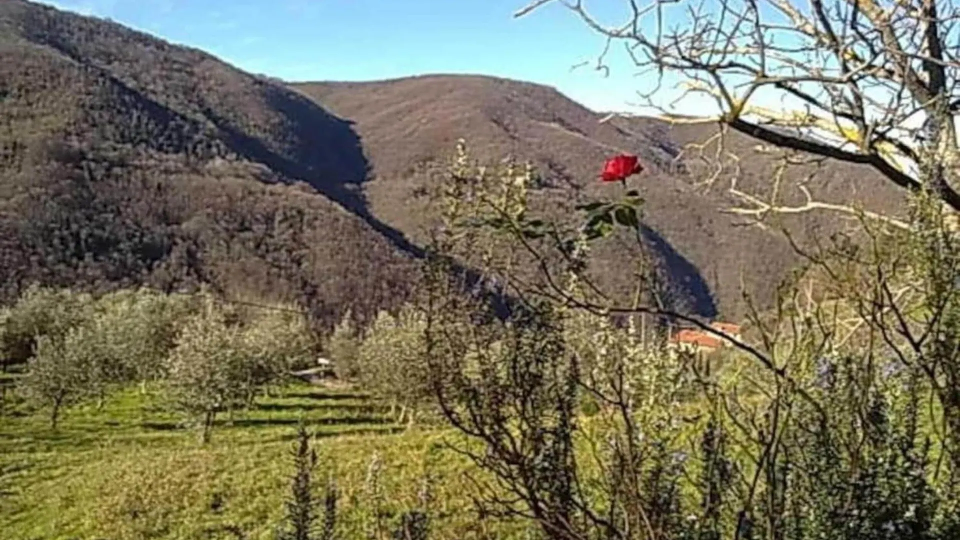 Lovely Estate Not Far From Florence With Olives Trees Poggio Alla Croce 0*,