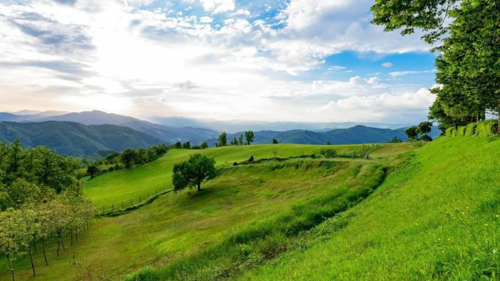 Semesterbostad Lovely Estate Not Far From Florence With Olives Trees Poggio Alla Croce