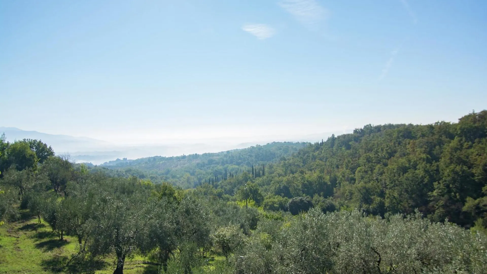 Lovely Estate Not Far From Florence With Olives Trees Poggio Alla Croce