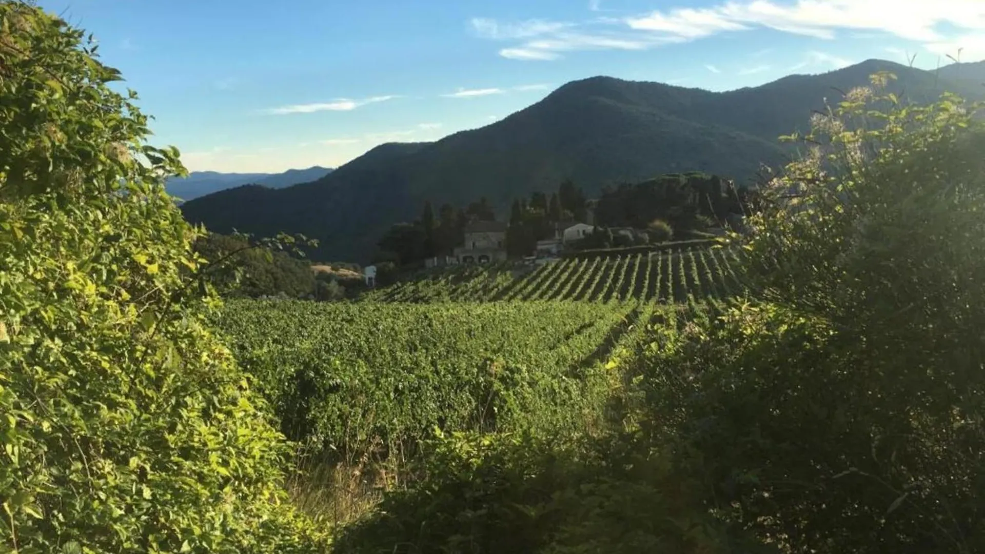 Semesterbostad Lovely Estate Not Far From Florence With Olives Trees Poggio Alla Croce